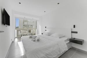 F2 Palm Beach - Pointe Croisette