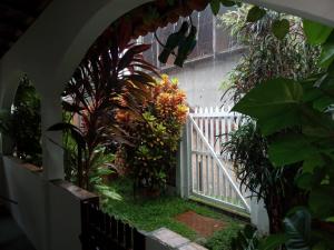 Garden House - Atins