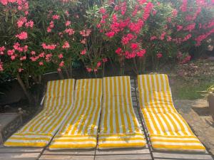 Appartements La Bastide Bleue La Ciotat : photos des chambres