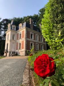 B&B / Chambres d'hotes Chateau de la Francoisiere : photos des chambres