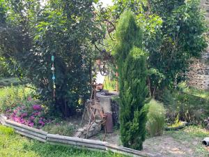 Maisons de vacances Le Patio : photos des chambres