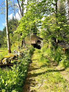 Maisons de vacances Le Cheix : photos des chambres