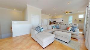 Sand Dollars and Sunsets