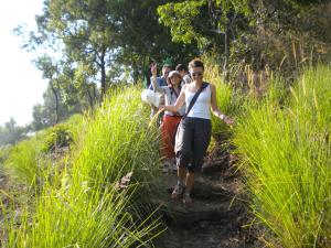 Blackberry Hills Munnar Nature Resort & Spa
