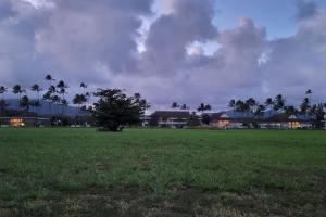 Coconut Coast Oceanview