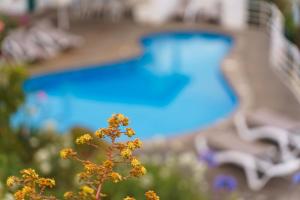 Vila da Falésia-With Pool and views