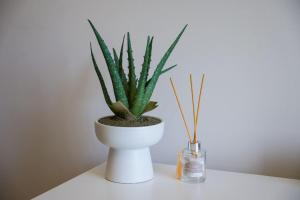 Light and Breezy 517 Millennial