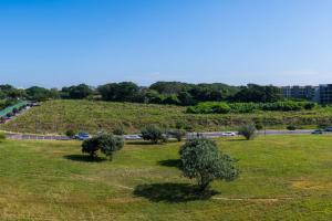 Light and Breezy 517 Millennial