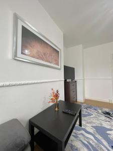 Magnificent Luxurious Apartment for 6ppl In Bethnal Green