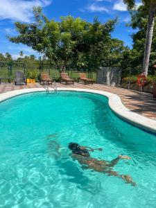 Senderos del Mar - Tayrona