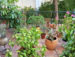 corazón de jerez edificio de 1861