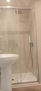 Cinghiale Bianco img43