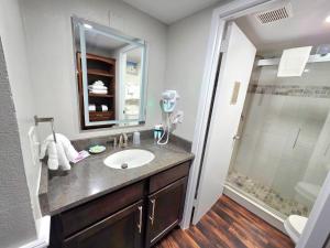 Beachfront Studio fit for a King