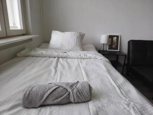 M&J Apartments Cygnaeus