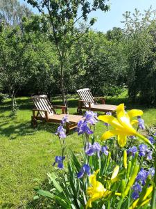 AVIATRIX Night Airport Haven