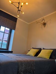 Nordic Design District Area - Compact Apartment Helsinki Center - New Renovated