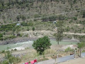 Himalayan Flower Vatika