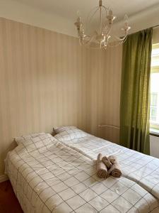 Apartment near the central beach