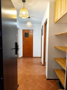 Bursztynek i Muszelka