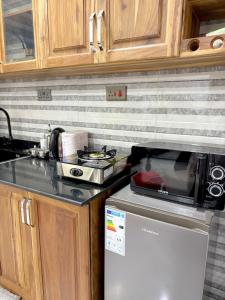 Luna One bedroom Apartment Mbezi beach -makonde