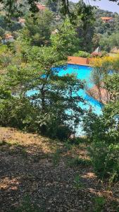 Appartements Entre mer et montagne : photos des chambres