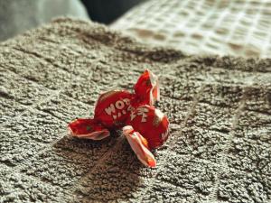 NEO - Trei - Cosy Studio