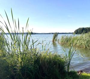 WOHLFÜHLBOOT Hausboot - Festlieger in der Marina Zaue am Schwielochsee - incl Stand Up Board
