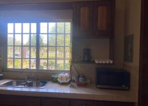 Apartamento Floral Vista Verde