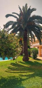 La Giralda 2 Denia Les Marines