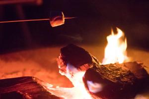 Damson Pod at Mulino Pods