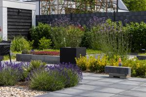 The White House Apartment