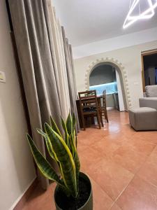 Kruja sunset near the Castle