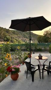 Ambelos, Lesvos Beach House