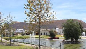 Todo lo que necesitas Adamar!