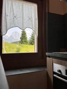 Famiglia De Zolt - Bucaneve