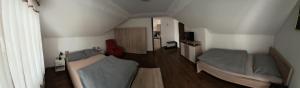 Apartma Studio Bogi 