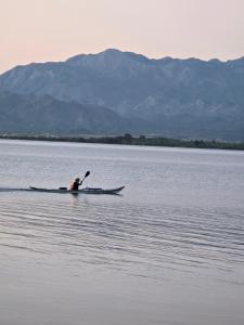 Shirokas Special Guest