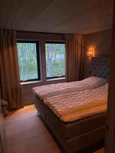 The New Lodge Ski In Ski Out