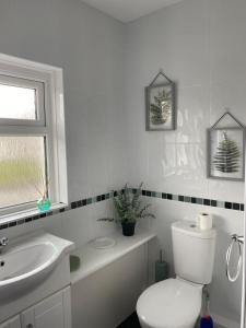 Carol,s Place Nr Bridgend, Porthcawl, Margam, Port Talbot Mins from J37 M4 sleeps 6
