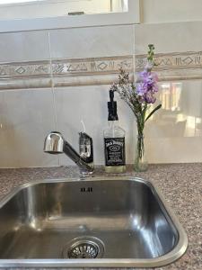 Cozy Guesthouse 15 min Amsterdam Haarlem Zandvoort