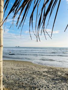 Casa Brisse - Playa y Naturaleza