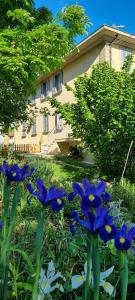 Residenza Rosmarino CASA GUARNONE