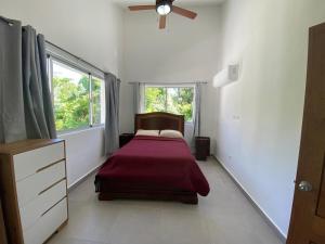 Beachside Tropical Getaway