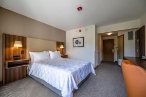 Holiday Inn San Jose La Sabana by IHG