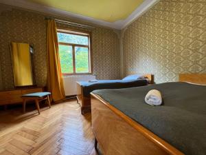 Mountain Guide House