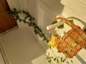 Landour Apartment Beauty and Charm Kothri- Vintage Vibes