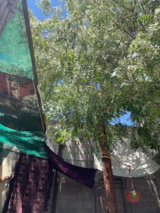 Cativa CozyHomestay