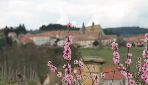 B&B / Chambres d'hotes Gites Le Lancelot : photos des chambres