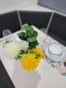 Gorgeous Two Bedroom Suite in a Quiet, Picturesque Neighborhood!