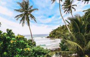 Surf Sea Breeze